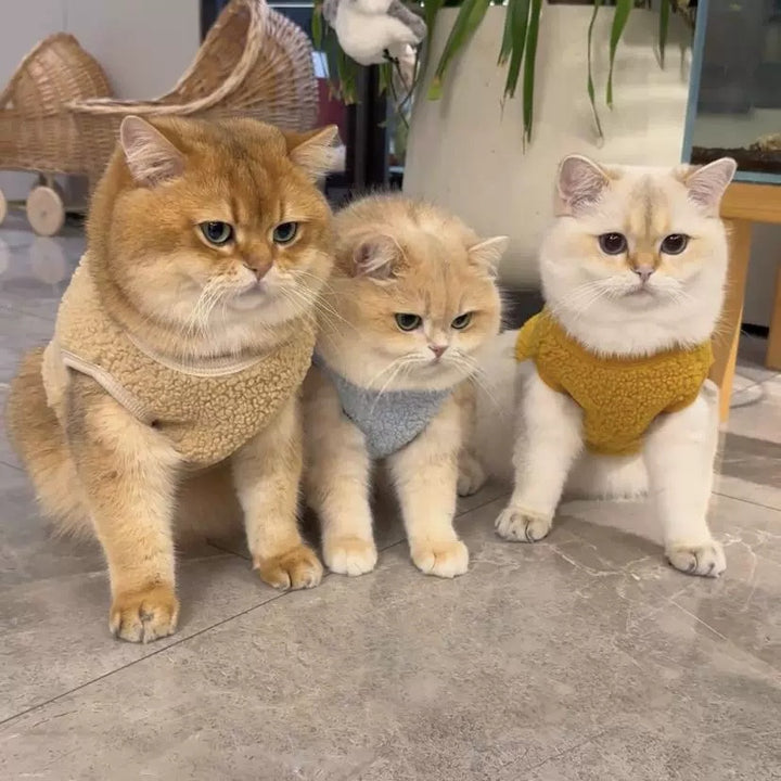 Cute & Cozy Pet Vest for Cats – Fun Animal Designs