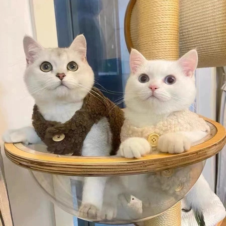 Cute Lamb Wool Vest for Cats and Small Dogs