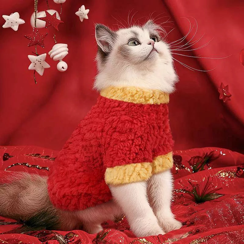 "GET RICH" Festive Winter Cat Outfit – Fleece-Lined New Year’s Jacket