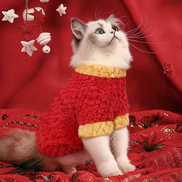 "GET RICH" Festive Winter Cat Outfit – Fleece-Lined New Year’s Jacket
