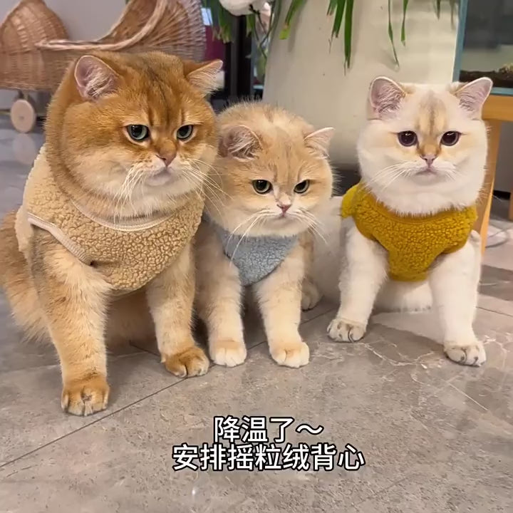 Cute & Cozy Pet Vest for Cats – Fun Animal Designs