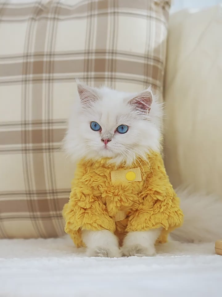 Fleece-Lined Warm Coat for Ragdolls and Small Cats