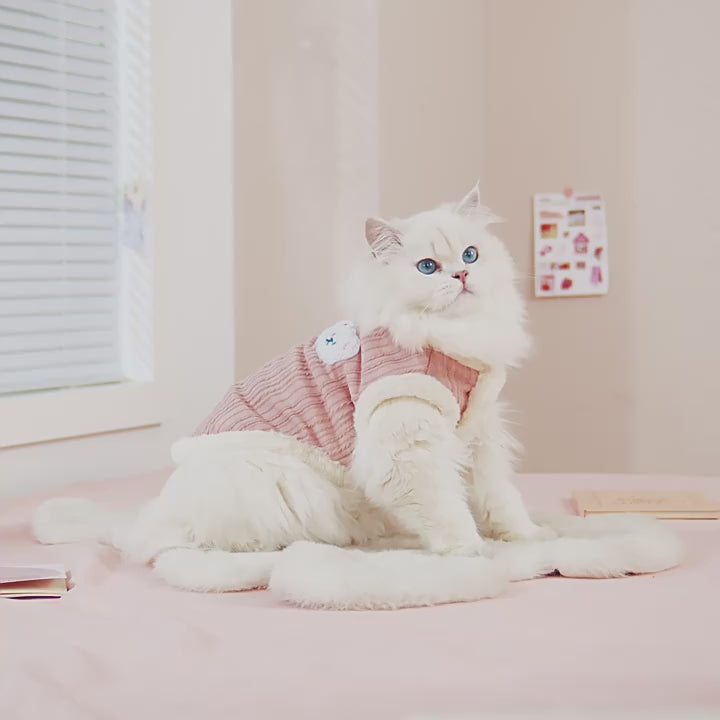 Winter Vest for Cats – Cozy & Warm