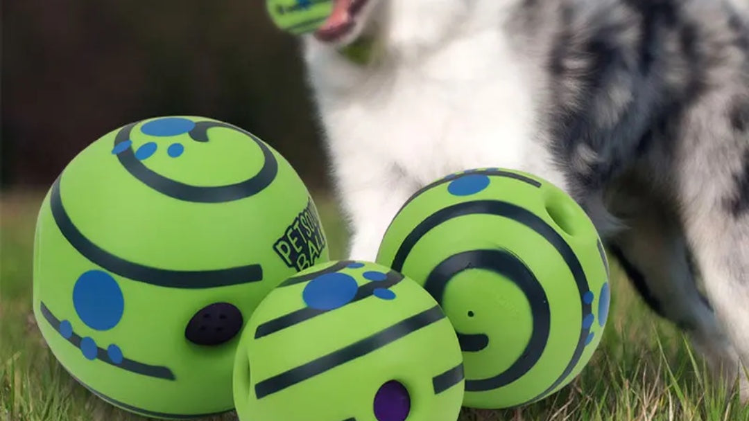 Giggle Ball Magic: The No-Battery, Sound-Activated Toy Your Dog Will Obsess Over
