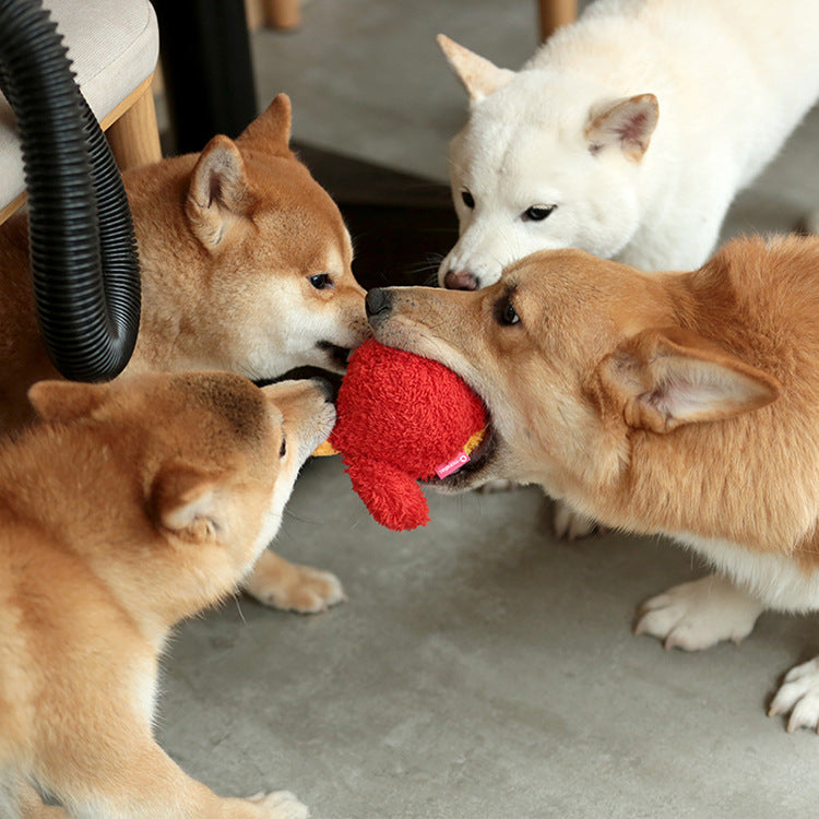 Q Treasure Family 7 styles press to sound dog chew toys