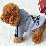 adidog hoodie gray S