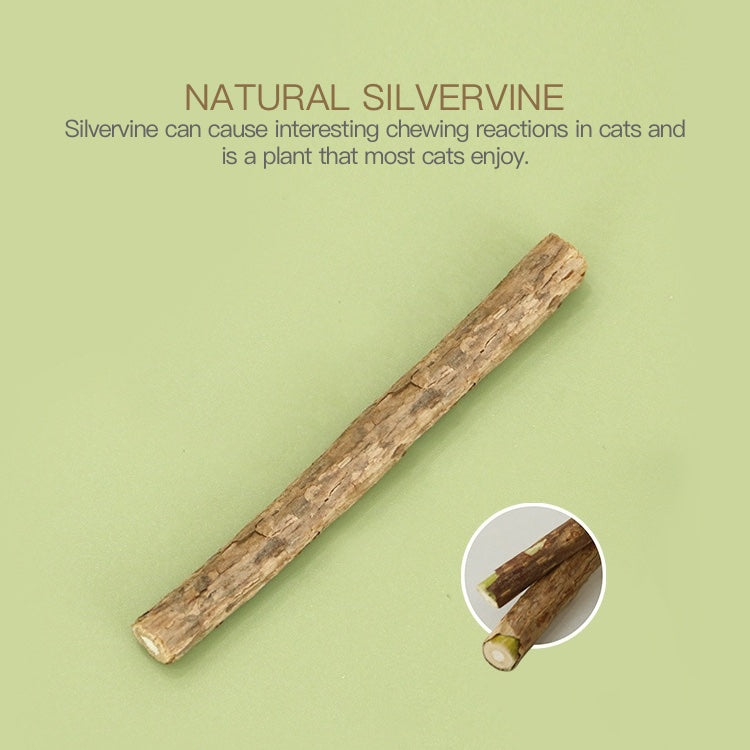 Natural Wood Silvervine Simulated Green Onion Carrot Celery Cat Self-Entertainment Toy