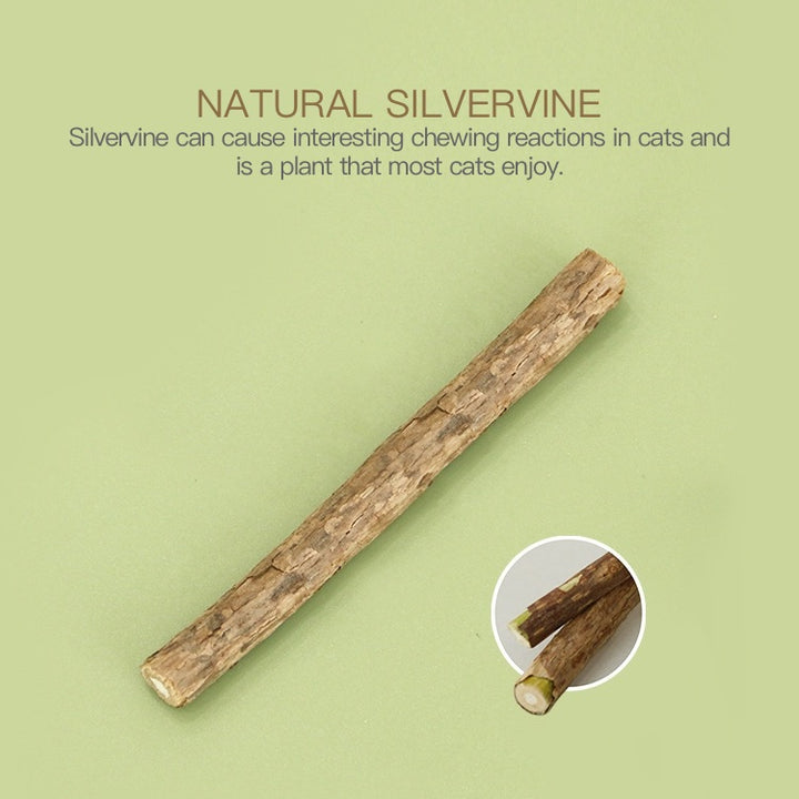 Natural Wood Silvervine Simulated Green Onion Carrot Celery Cat Self-Entertainment Toy