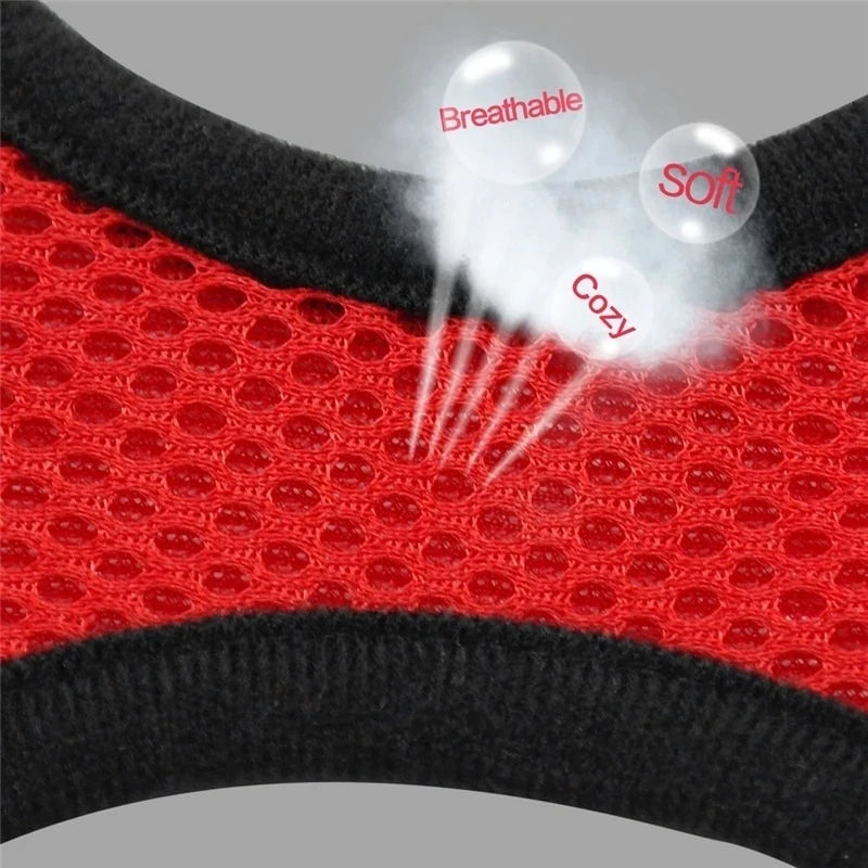 Adjustable Breathable Harness & Leash Set for Small Dogs and Cats