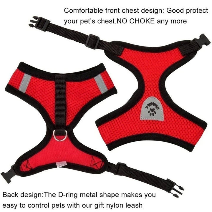 Adjustable Breathable Harness & Leash Set for Small Dogs and Cats