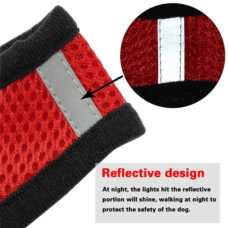 Adjustable Breathable Harness & Leash Set for Small Dogs and Cats