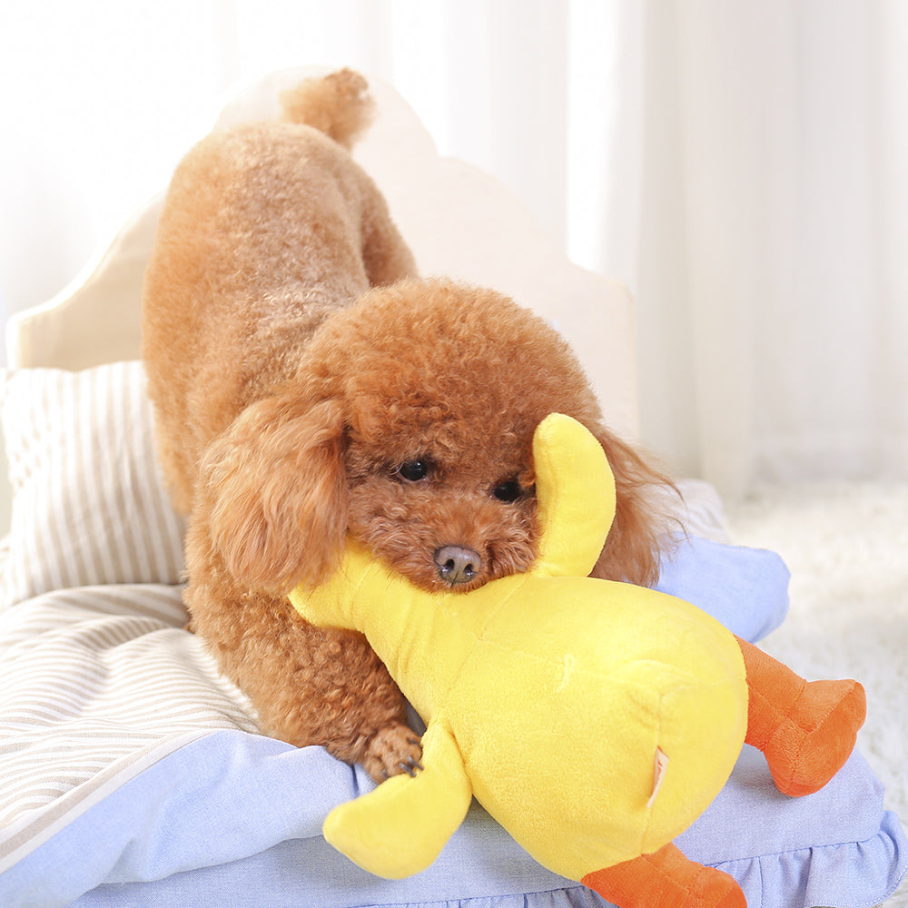 Pet Chew Training Yellow Duck Toy