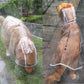 Dog Raincoat big Dog Medium-sized Dogs Pet Waterproof Clothing