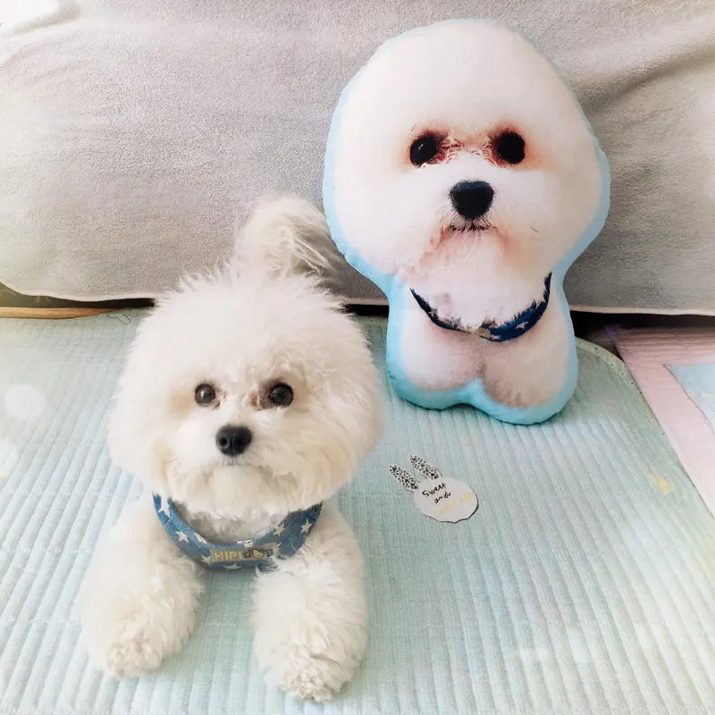 Photo Customization DIY Dog Cushion Pet Plush Toys