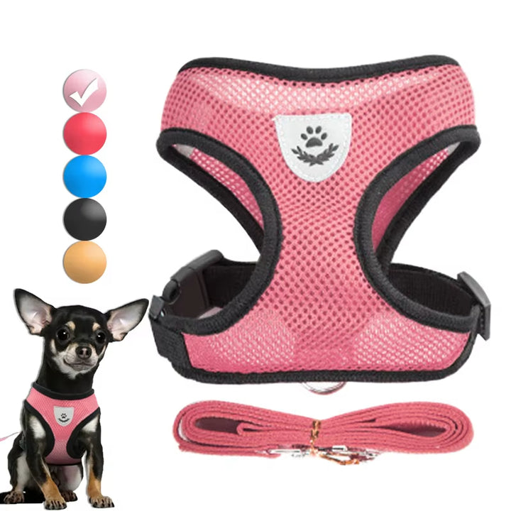 Adjustable Breathable Harness & Leash Set for Small Dogs and Cats