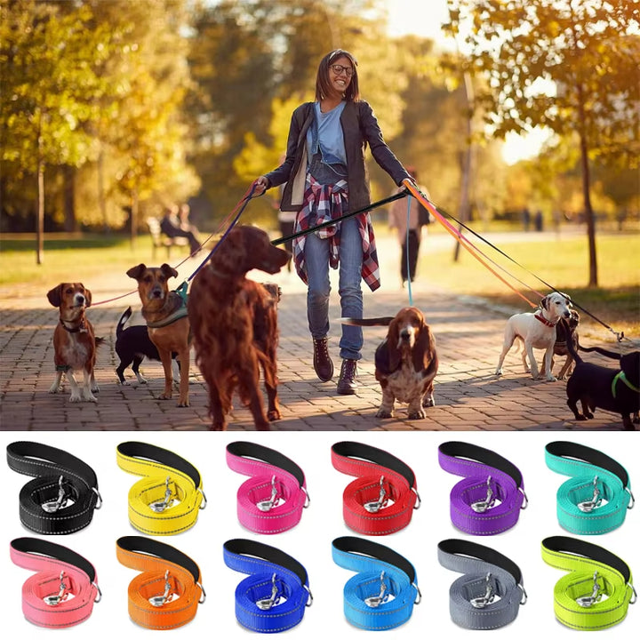Reflective Nylon Dog Leash