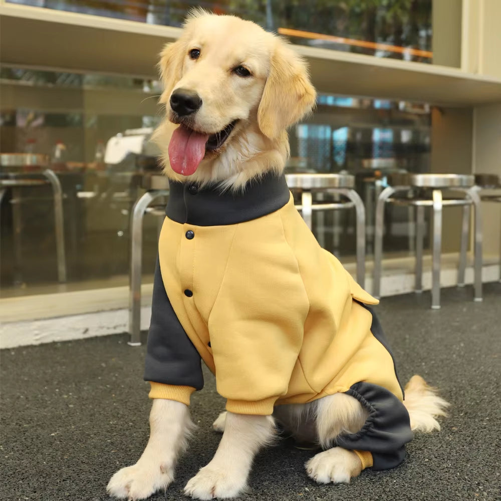 Four-legged large dog sports jacket