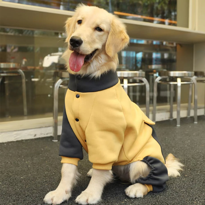 Four-legged large dog sports jacket