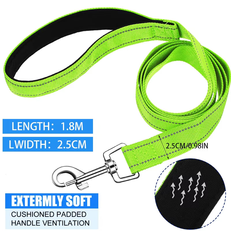 Reflective Nylon Dog Leash