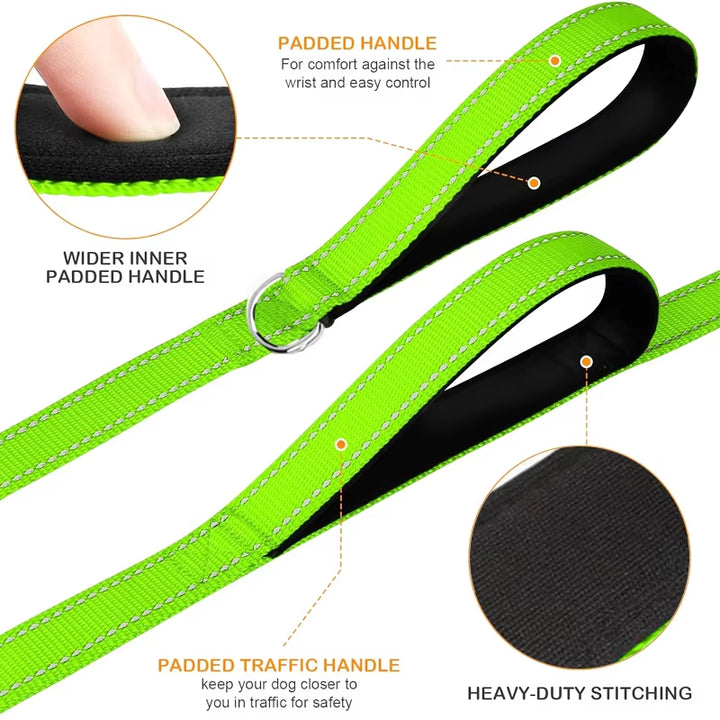 Reflective Nylon Dog Leash