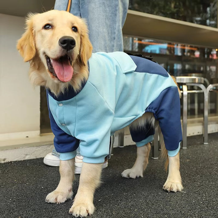 Four-legged large dog sports jacket