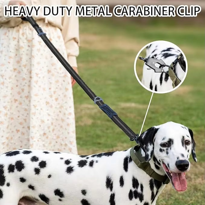 Reflective Bungee Dog Leash with Car Seatbelt Clip – No-Pull, Shock-Absorbing, Heavy-Duty for Large Dogs