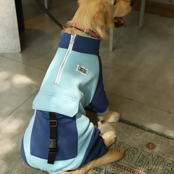 Four-legged large dog sports jacket