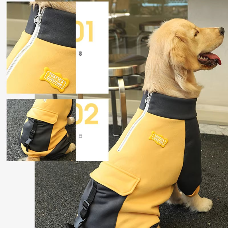 Four-legged large dog sports jacket