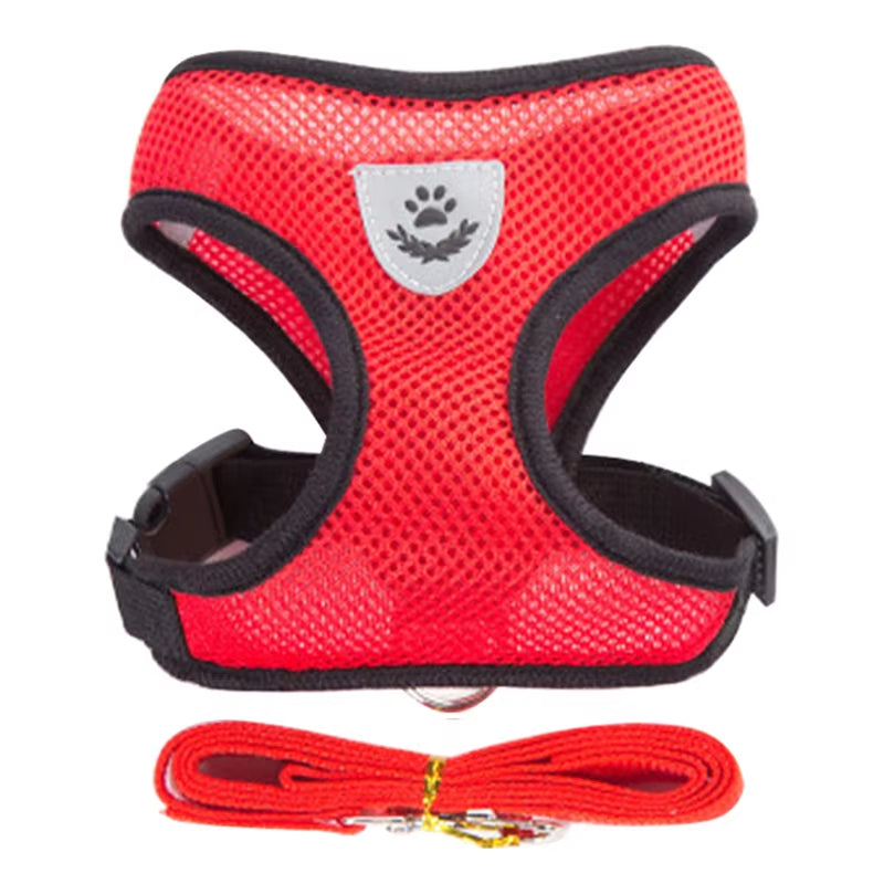 Adjustable Breathable Harness & Leash Set for Small Dogs and Cats