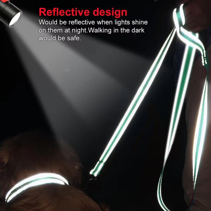 Reflective Nylon Dog Leash