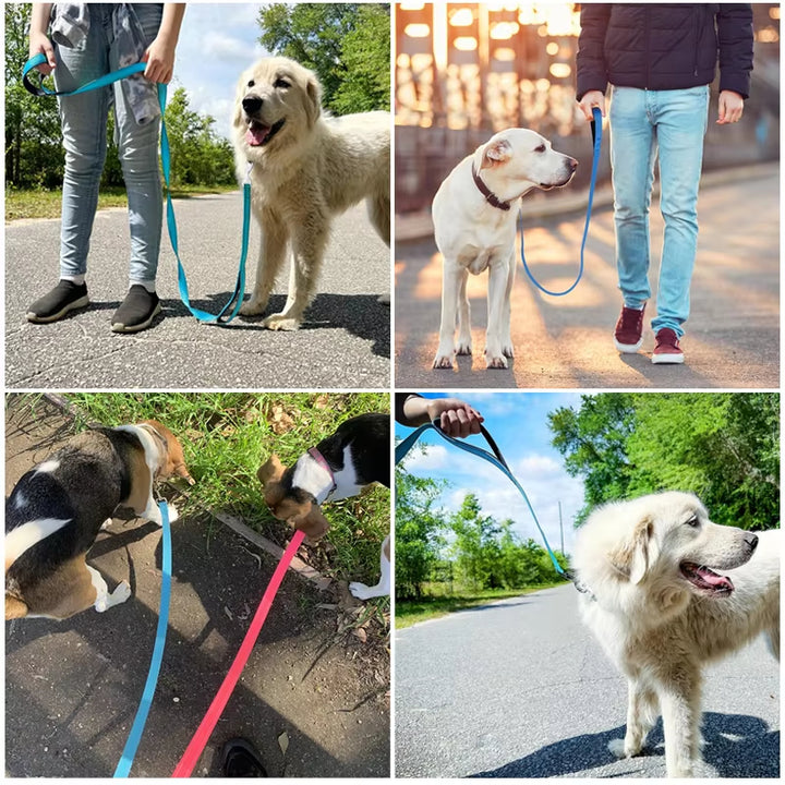 Reflective Nylon Dog Leash