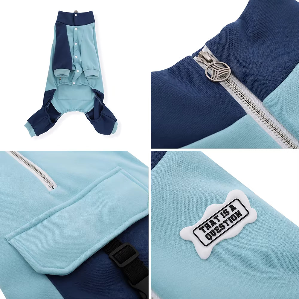 Four-legged large dog sports jacket