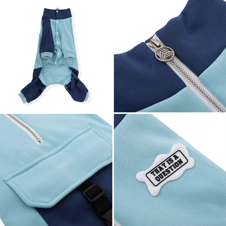 Four-legged large dog sports jacket