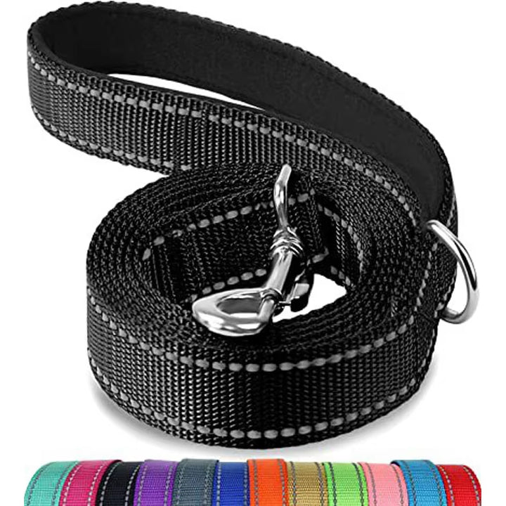Reflective Nylon Dog Leash