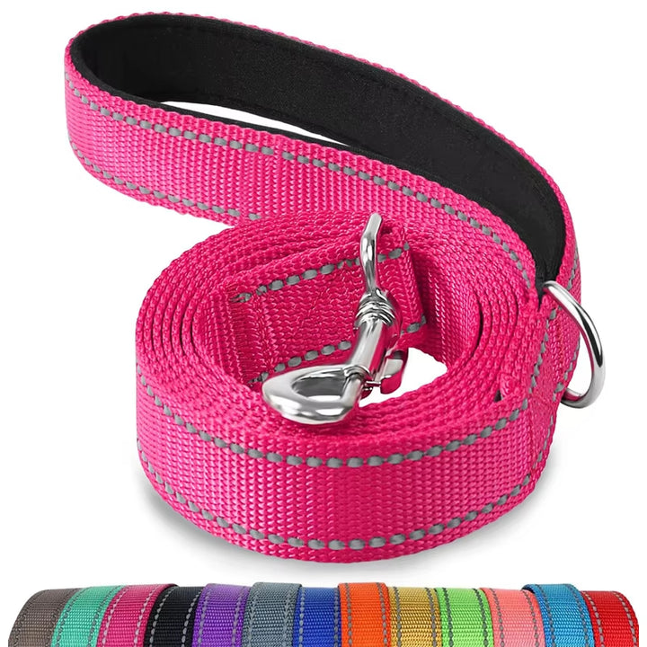 Reflective Nylon Dog Leash