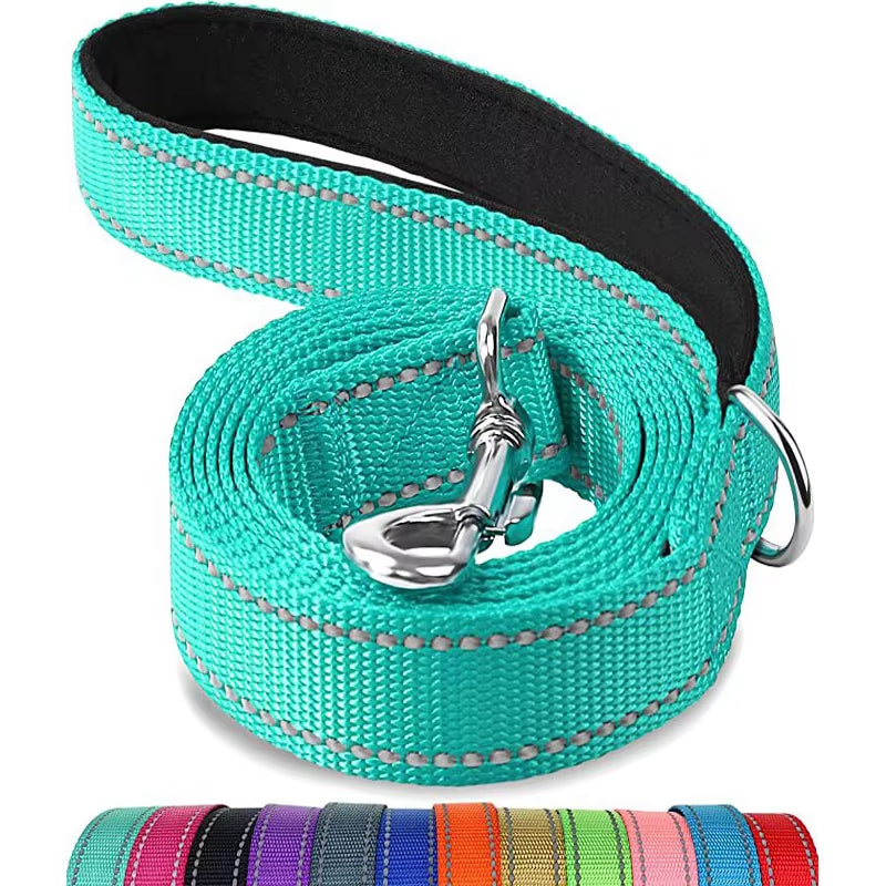 Reflective Nylon Dog Leash