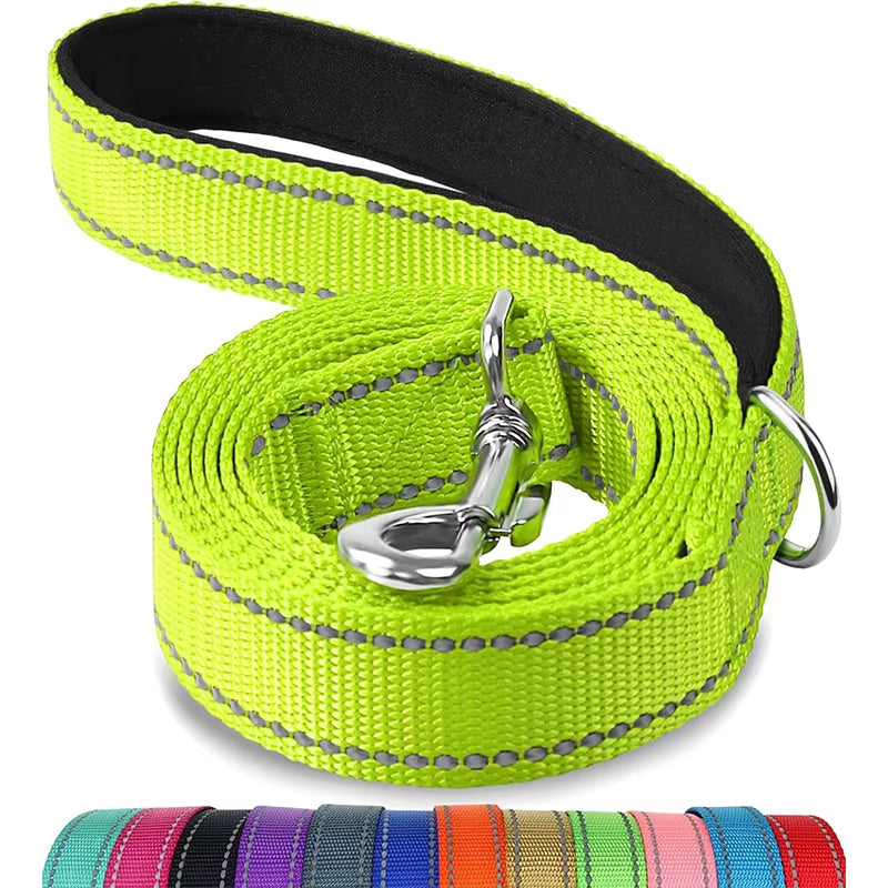 Reflective Nylon Dog Leash