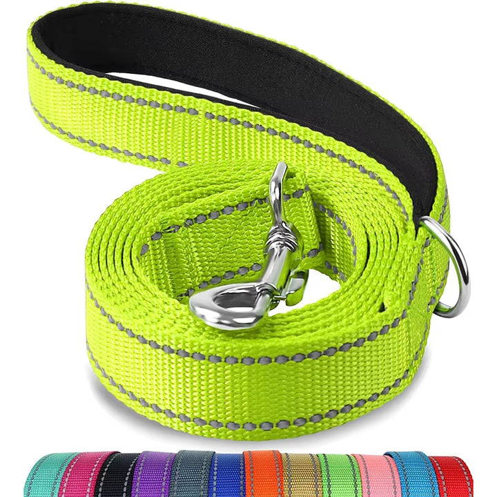 Reflective Nylon Dog Leash