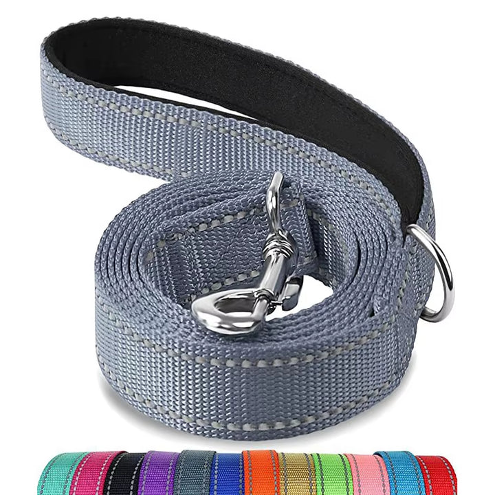 Reflective Nylon Dog Leash