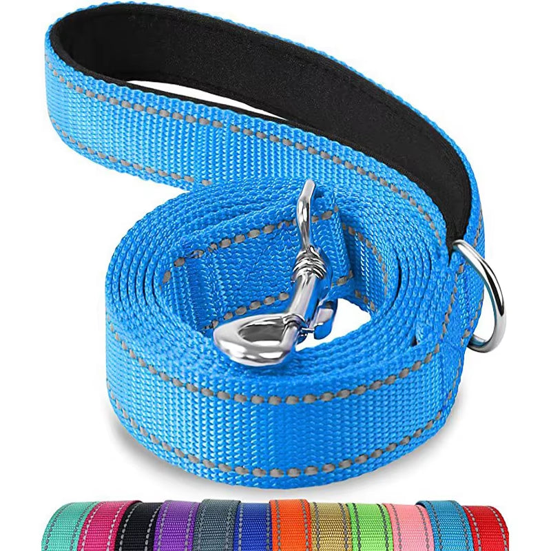 Reflective Nylon Dog Leash