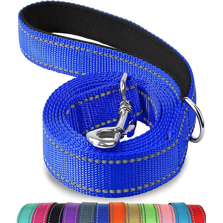 Reflective Nylon Dog Leash