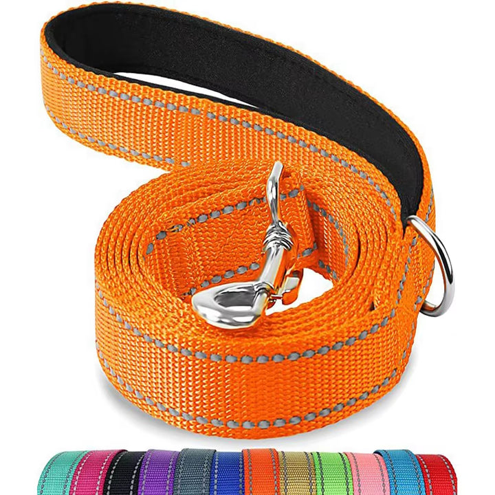 Reflective Nylon Dog Leash