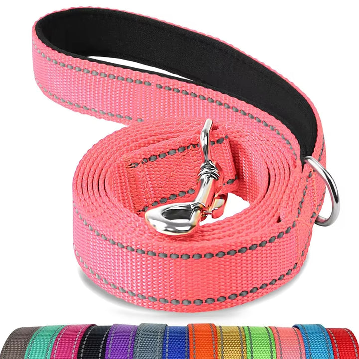 Reflective Nylon Dog Leash
