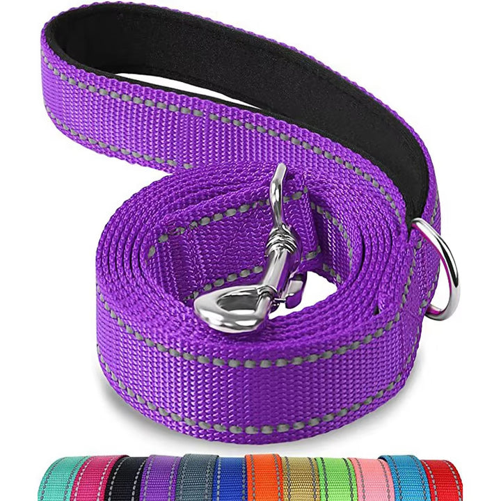 Reflective Nylon Dog Leash