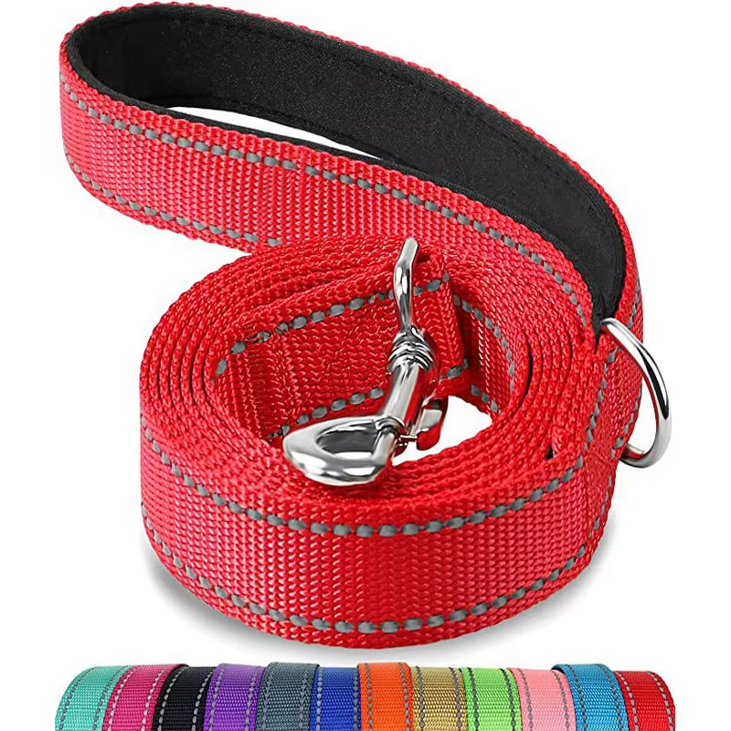 Reflective Nylon Dog Leash