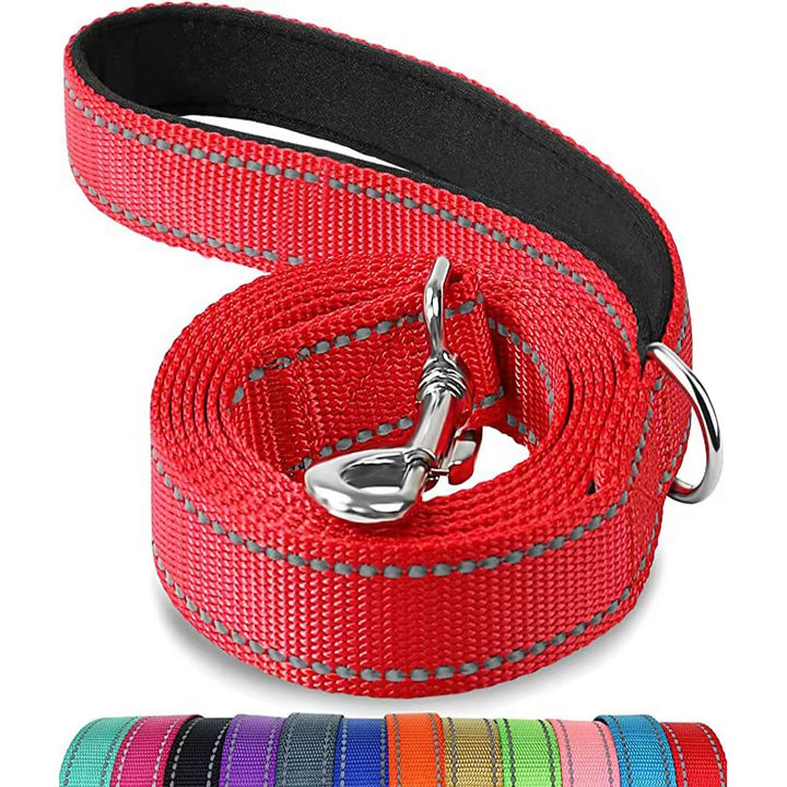 Reflective Nylon Dog Leash