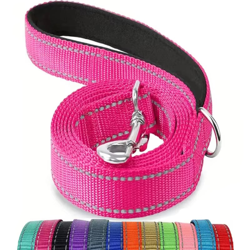 Reflective Nylon Dog Leash