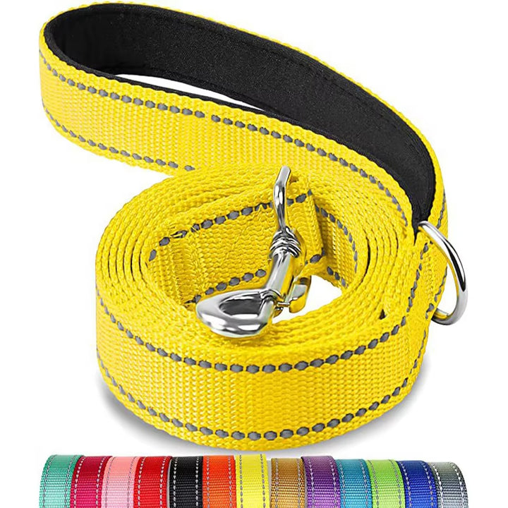 Reflective Nylon Dog Leash