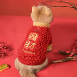 "GET RICH" Festive Winter Cat Outfit – Fleece-Lined New Year’s Jacket