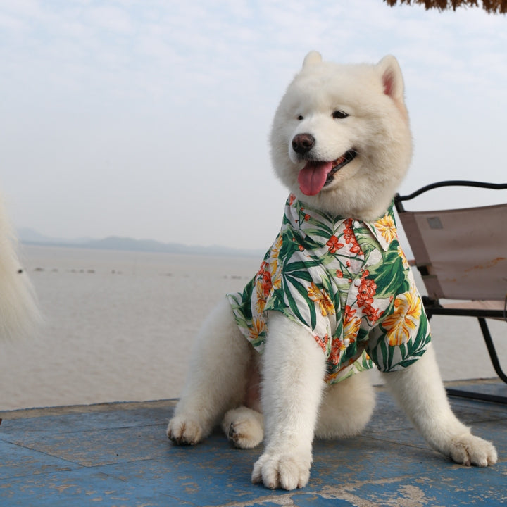 Vintage Beach Style Cat&Dog Parent-Child Shirt